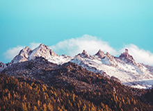 世界杯比赛结果-乒超开赛深圳女团暂列第一 ITTF世界联队拿下首胜