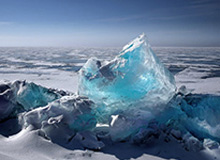 世界杯比赛结果-宁波男篮社媒分享视频：团建日，movie with barbecue